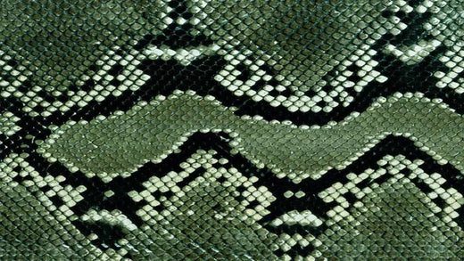 2025 Chinese Snake Year Brand Marketing - Inniverse