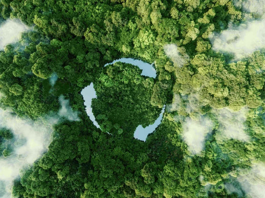 Business Sustainability: A New Direction for Global Strategy and Corporate Responsibility - Inniverse