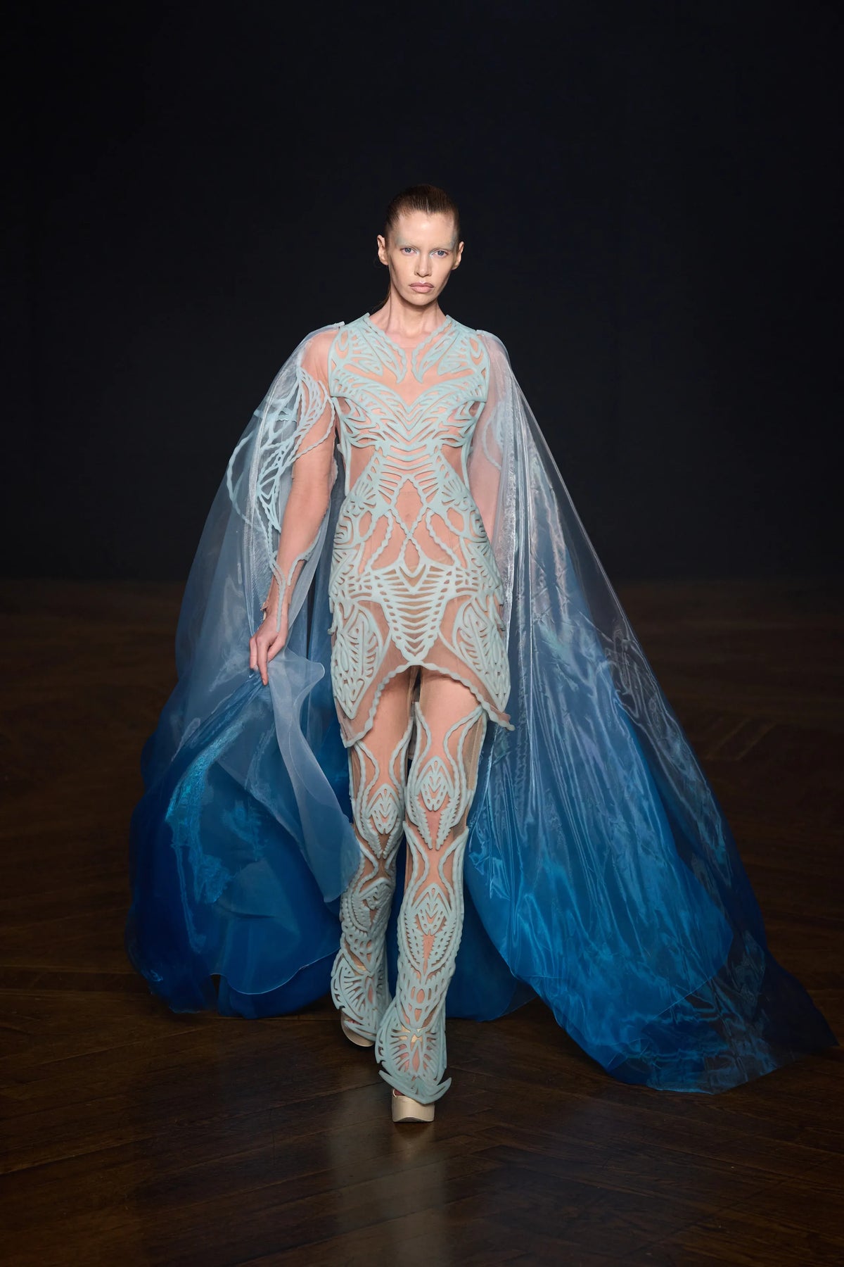 Iris van Herpen - Look 3