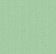 2/26Nm 100% Undyed Cashmere