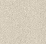 91%Lyocell Fiber Tencel 9%Elastane