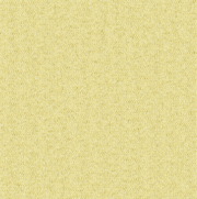 2/48Nm 100% Soft Merino Wool