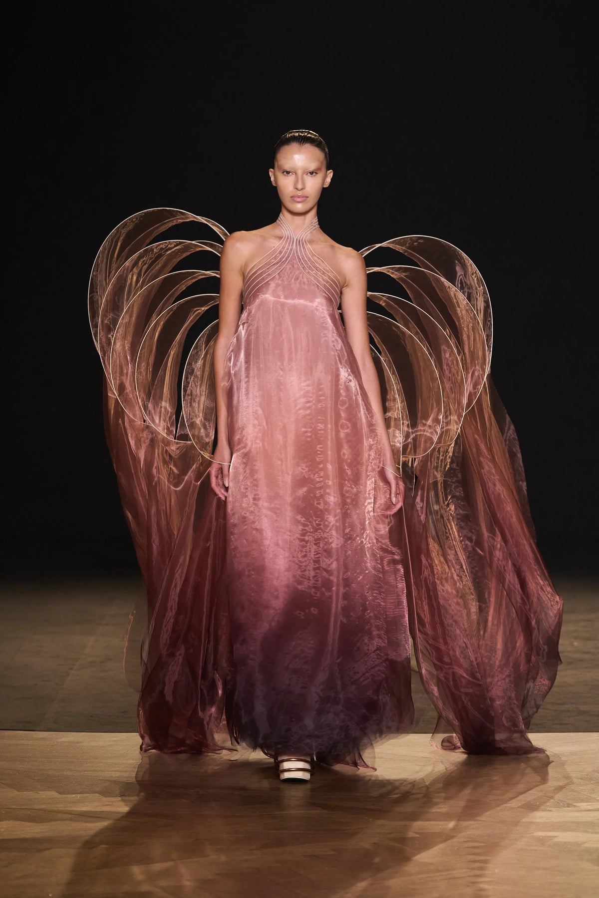 Iris van Herpen - Look 12