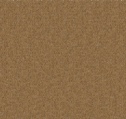 Test 1