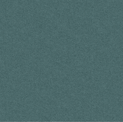 2/24Nm 95% BCI Cotton 5% RWS Mercerized Wool