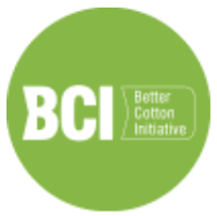 Certification and standard 2